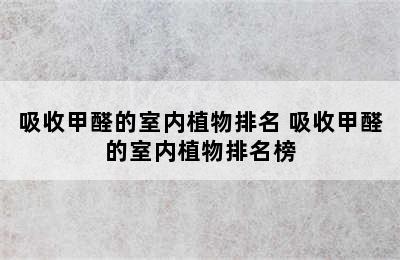 吸收甲醛的室内植物排名 吸收甲醛的室内植物排名榜